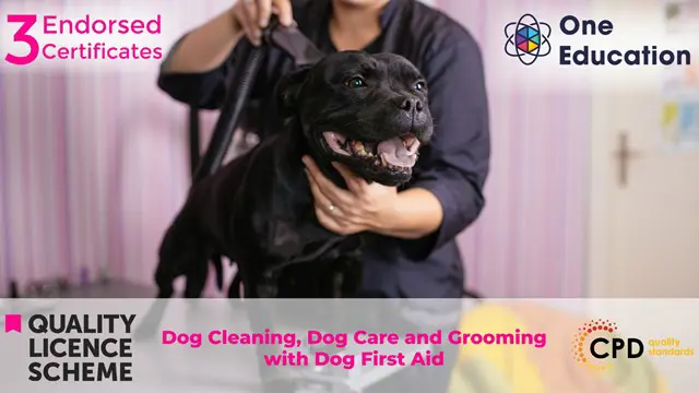 Dog Cleaning, Dog Care and Grooming with Dog First Aid