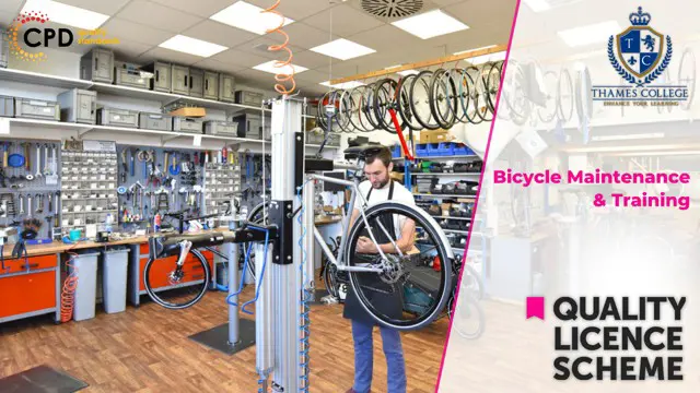 Bicycle Maintenance & Training