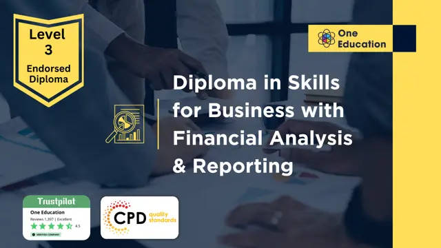 NCFE Level 3 Diploma in Skills for Business  with Financial Analysis & Reporting 