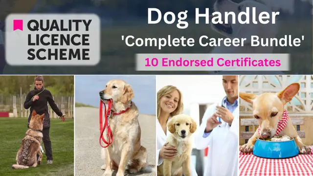 Dog Handler Bundle - QLS Endorsed