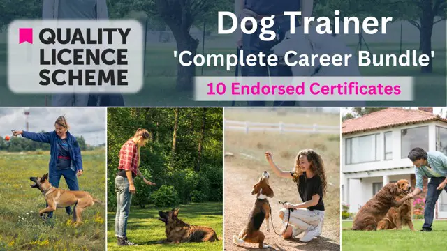 Dog Trainer Bundle - QLS Endorsed