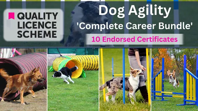 Dog Agility Coach Bundle - QLS Endorsed