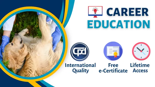 Dog Care: Dog first Aid & Dog Grooming Diploma Level 3 