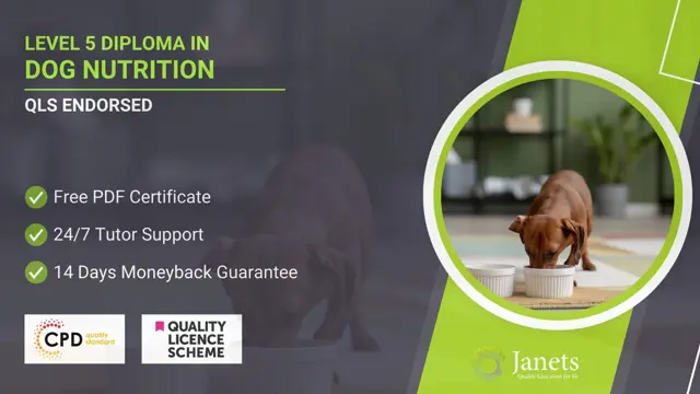 Level 5 Diploma in Dog Nutrition - QLS Endorsed
