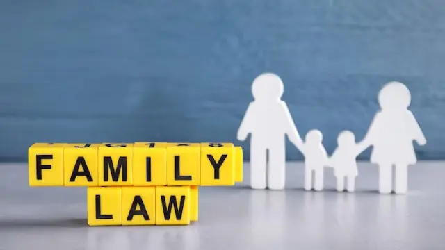 Family Law : Marriage, Divorce, Domestic Violence & Gender Equity