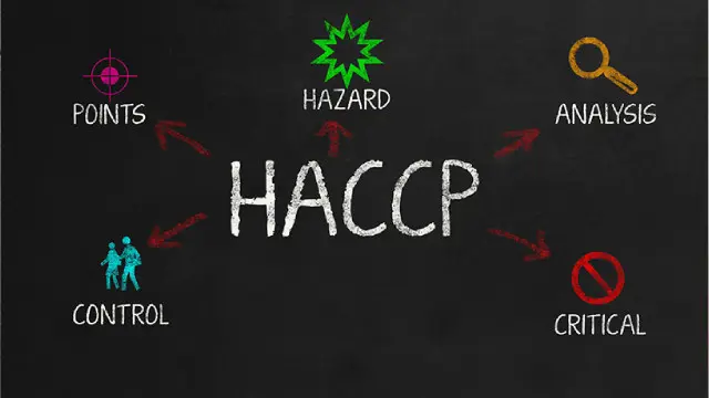 Level 3 HACCP Training