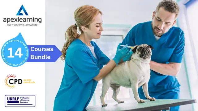Veterinary Assistant : Veterinary Nursing & Animal Care Diploma