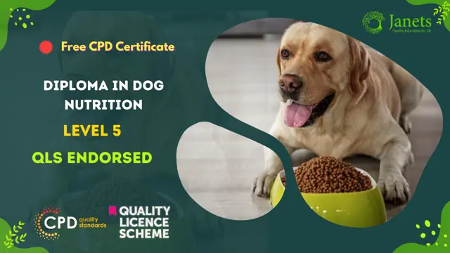Diploma in Dog Nutrition at QLS Level 5