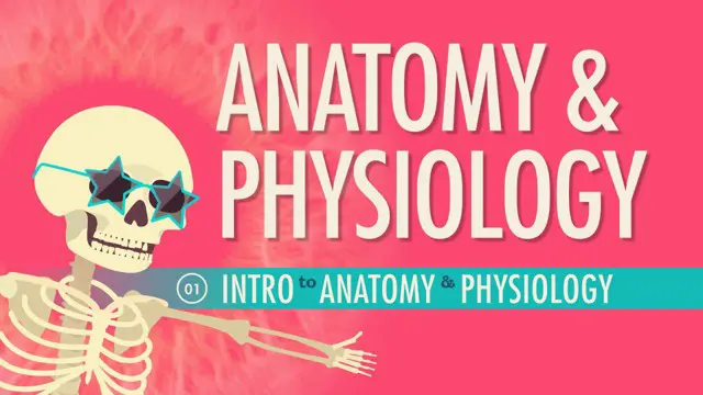 Level 3 Human Anatomy & Physiology Certificate Course