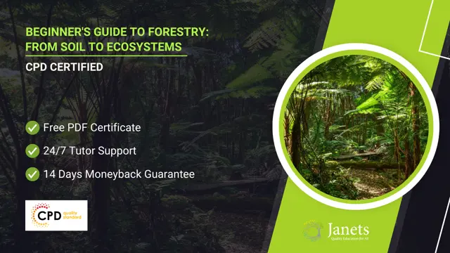 Beginner's Guide to Forestry: From Soil to Ecosystems