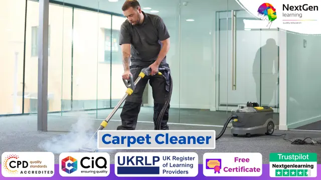 Carpet Cleaner : The Ultimate Guide to Carpet Cleaning