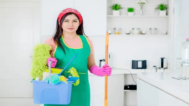 Natural Home Cleaning: Healthy Home