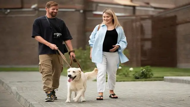 Guide Dog Trainer Level 3 Advanced Diploma