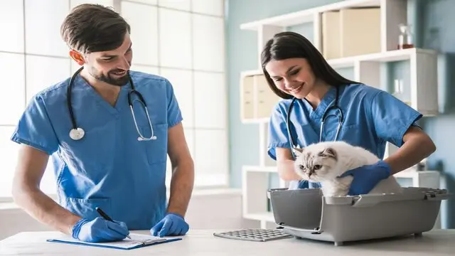 Veterinary Assistant Training