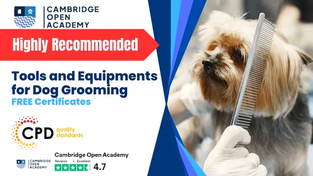 Tools and Equipments for Dog Grooming