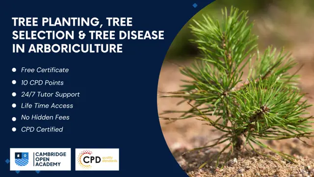Tree Planting, Tree Selection and Tree Disease in Arboriculture