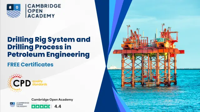 Drilling Rig System and Drilling Process in Petroleum Engineering