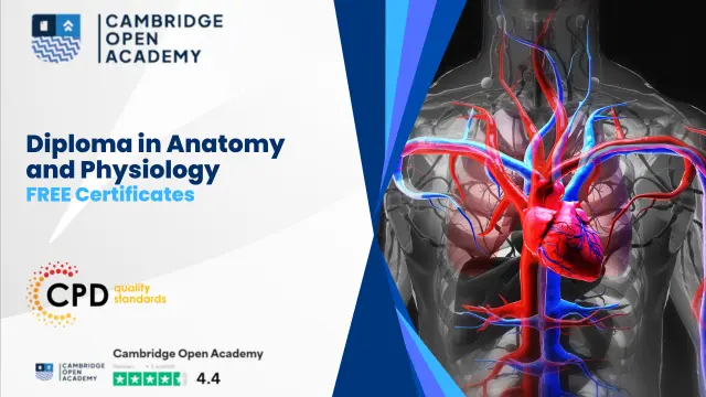 Diploma in Anatomy and Physiology: Understanding the Human Body