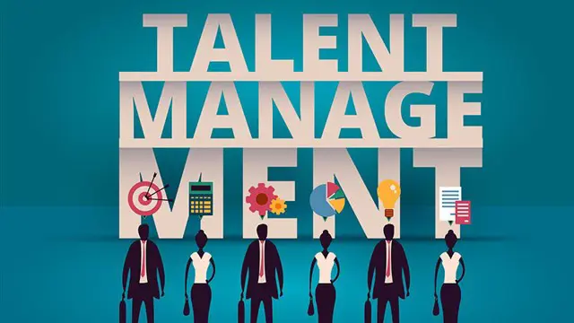 Talent Management Training