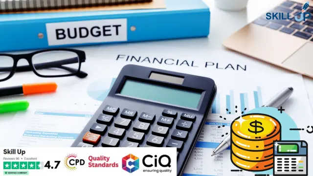 Financial Controller & Planning, Budgeting and Forecasting