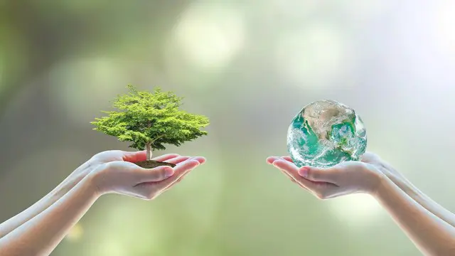 Environmental Awareness & Carbon Footprint Awareness