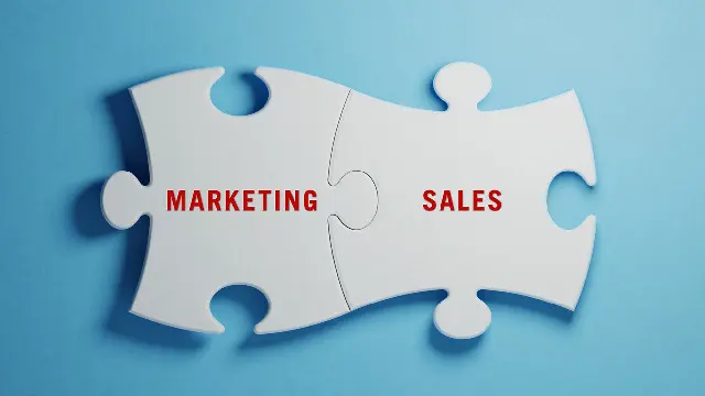 Marketing and Sales Training