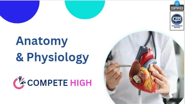 Level 3 Diploma in Anatomy and Physiology & Medicine with Health Care - CPD Certified