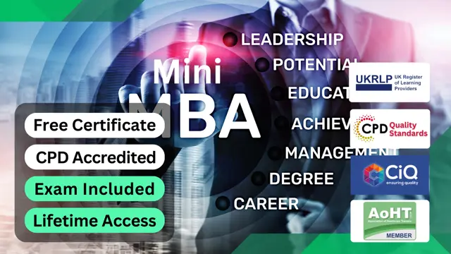 Mini MBA for Business Fundamentals & Strategy
