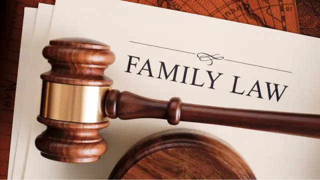 Family Law: A Complete Guide to Marriage, Divorce, Domestic Violence & Gender Equity