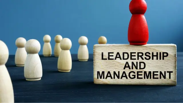 Leadership & Management Essentials: Building High-Performing Teams