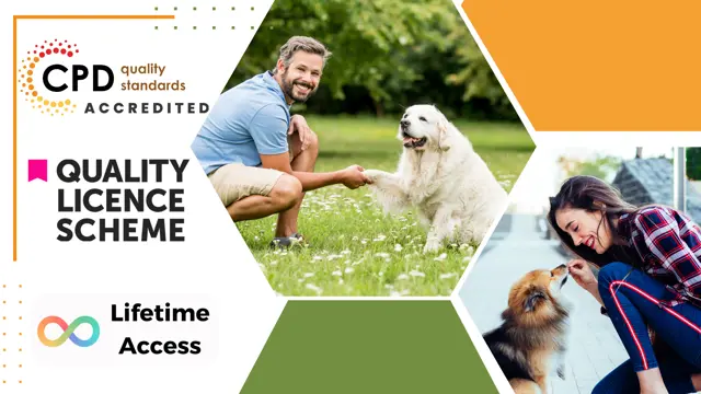 Dog Training: Dog Grooming, Dog First Aid & Dog Agility - CPD Certified