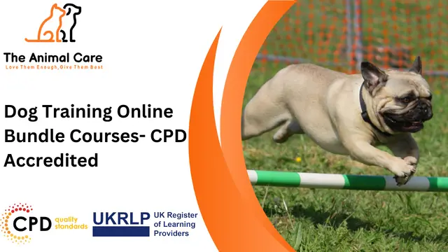 Dog Training Online Bundle Courses- CPD Accredited