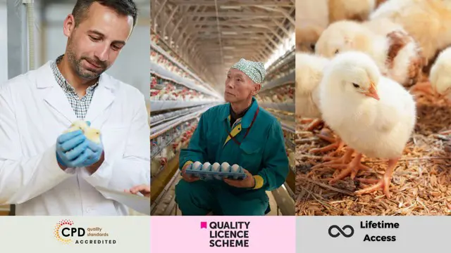 Animal Care, Poultry Farming & Ornithology- QLS Endorsed