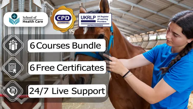 Horse Care & Stable Management Course - CPD Certified