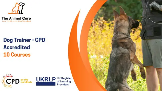 Dog Trainer - CPD Accredited