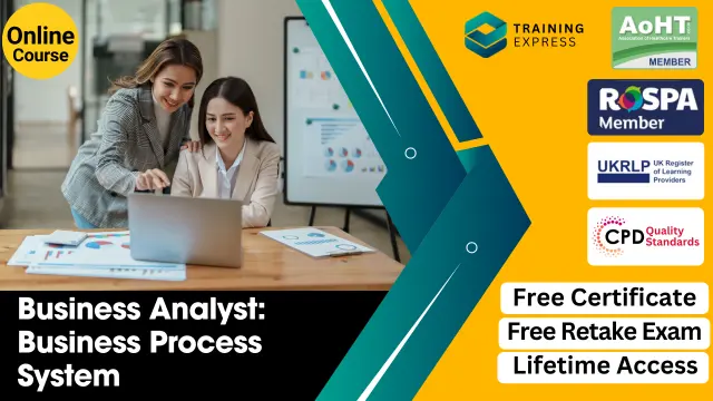 Business Analyst: Business Process System and Strategy Analysis