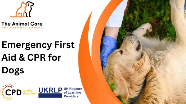 Emergency First Aid & CPR for Dogs