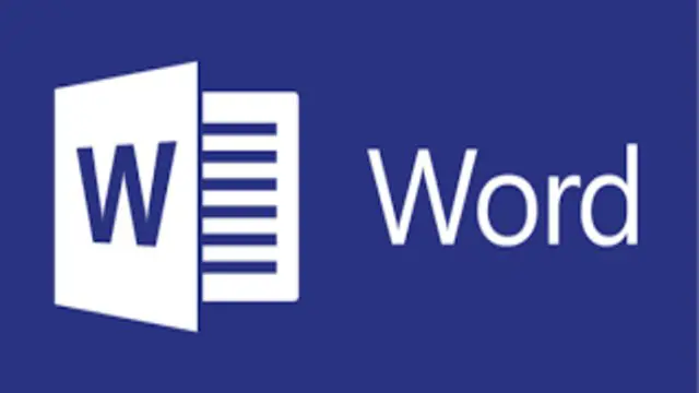 Microsoft Word Beginner To Professional