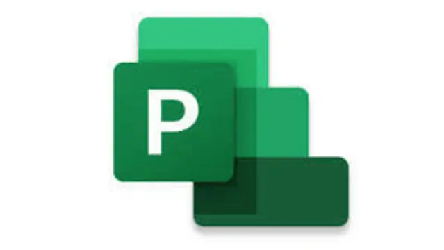 Microsoft Project Beginner To Professional