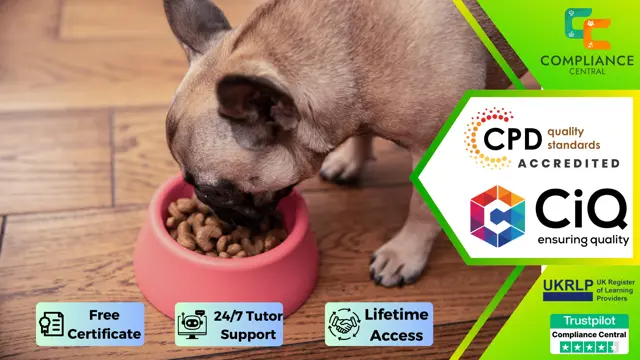 Dog Nutrition - CPD Certified