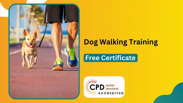 Accredited Dog Walking Course