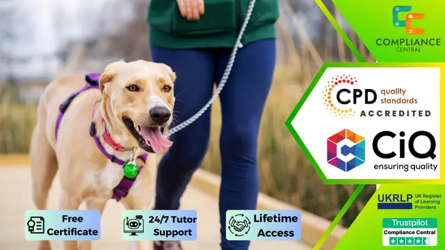 Accredited Dog Walking Course