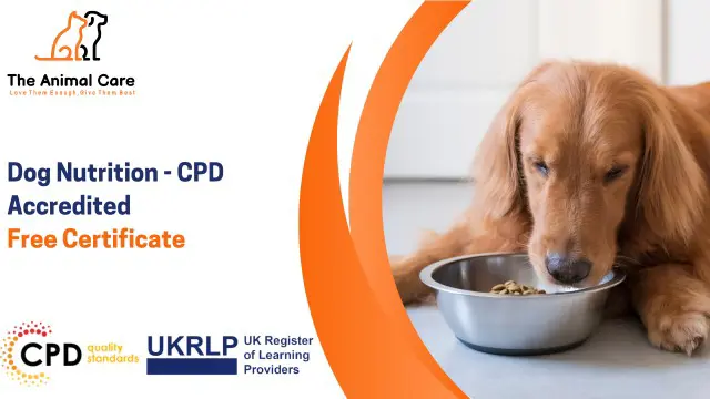 Dog Nutrition - CPD Accredited