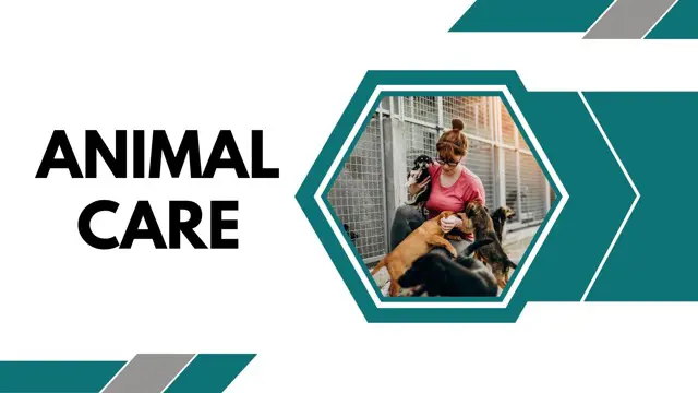 Level 3 Diploma in Animal Care - CPD Certified