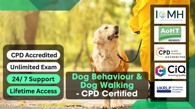 Dog Behaviour & Dog Walking - CPD Certified