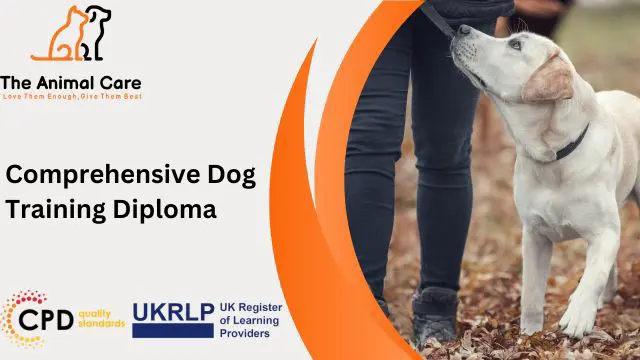 Comprehensive Dog Training Diploma