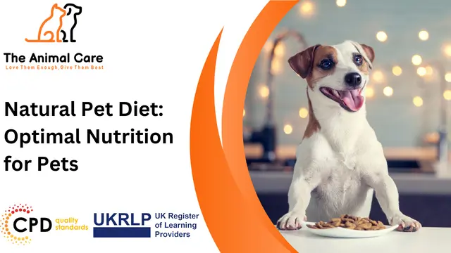 Natural Pet Diet: Optimal Nutrition for Pets