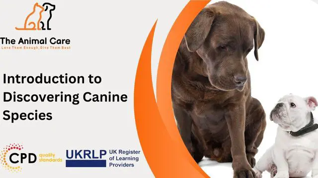 Introduction to Discovering Canine Species