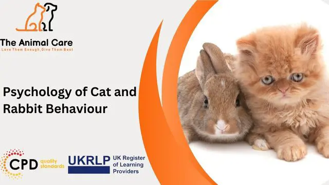 Psychology of Cat and Rabbit Behaviour Training