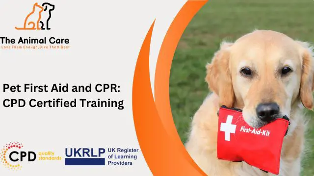 Pet First Aid and CPR: CPD Certified Training